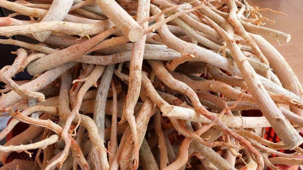 Eurycoma Longifolia Roots