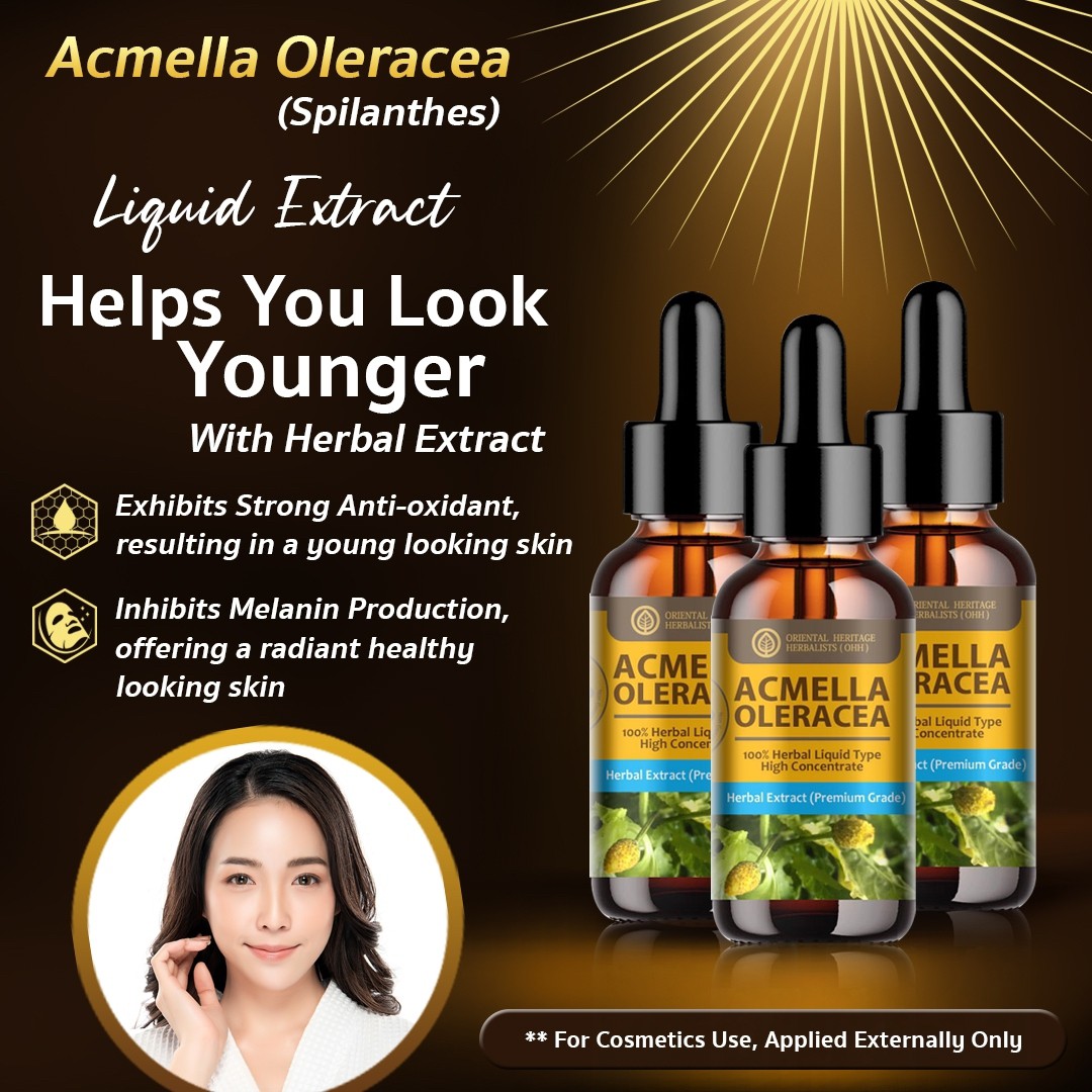 13. Acmella Oleracea Extract 2 Acmella Oleracea (Paracress) Extract