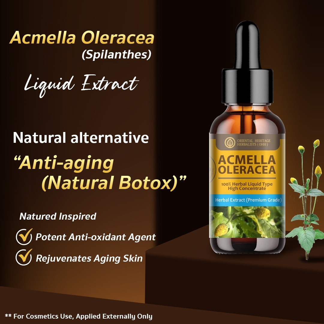 13. Acmella Oleracea Extract 3 Acmella Oleracea (Paracress) Extract