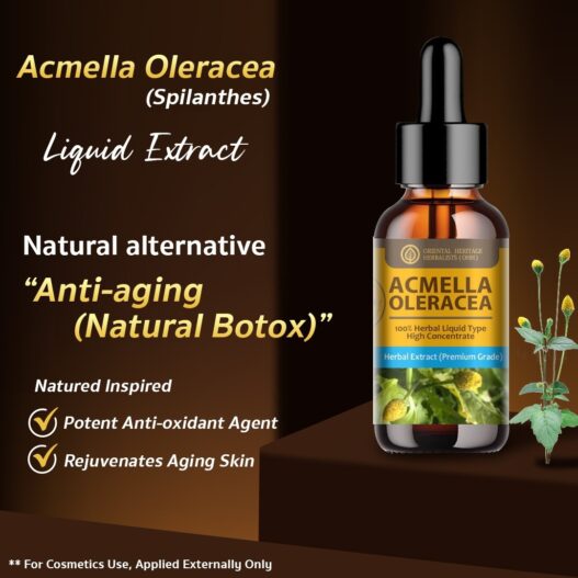 Acmella Oleracea (Paracress) Extract