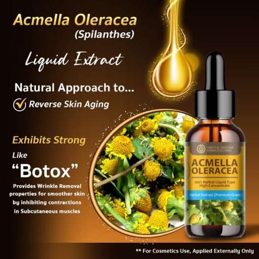 Acmella Oleracea (Paracress) Extract