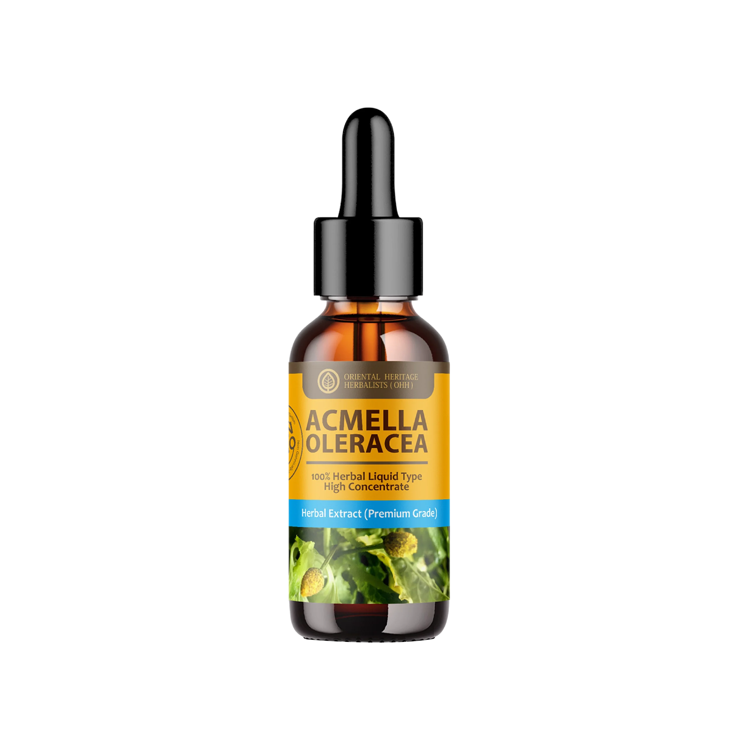 acmella oleracea (paracress) liquid extract (high concentration) 25 ml acmella oleracea (paracress) liquid extract (high concentration) 25 ml