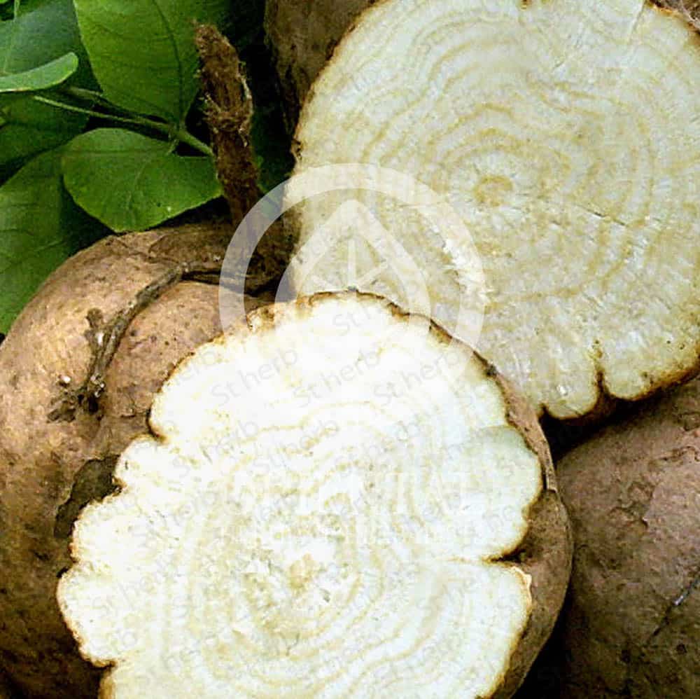 pueraria-mirifica-root-2 Pueraria Mirifica Herb