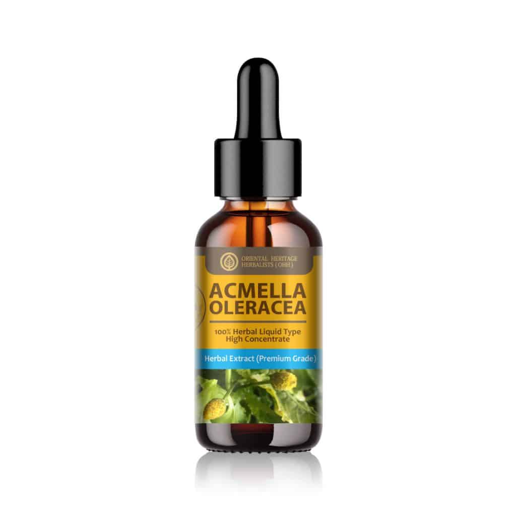 Acmella Oleracea Herbal Extract in Liquid Type