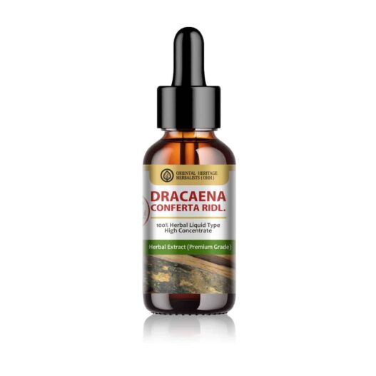 Dracaena Conferta Ridl. Herbal Extract in Liquid Type 25 ml. (High Concentration)