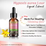 17. Hypoxis Aurea Lour Extract ภ