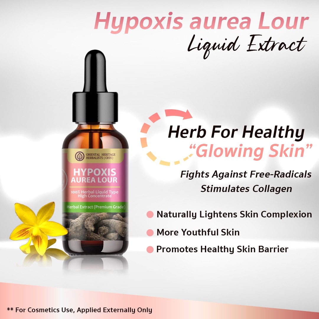 17. Hypoxis Aurea Lour Extract 17. Hypoxis Aurea Lour Extract ภ
