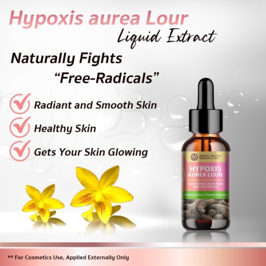17. Hypoxis Aurea Lour Extract -