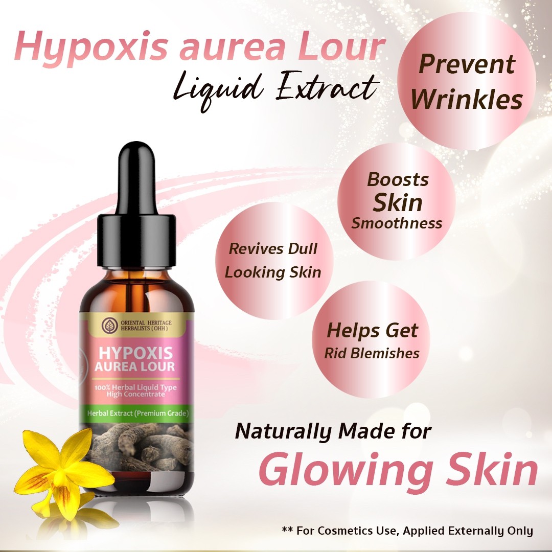 17. Hypoxis Aurea Lour Extract 3 17. Hypoxis Aurea Lour Extract ๅ