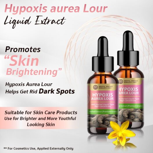 17. Hypoxis Aurea Lour Extract /