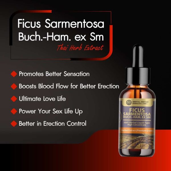 Ficus foveolata Wall Herbal Extract in Liquid Type 25 ml.