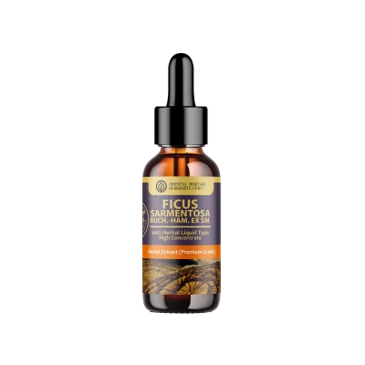 ficus foveolata wall liquid extract (high concentration) 25 ml