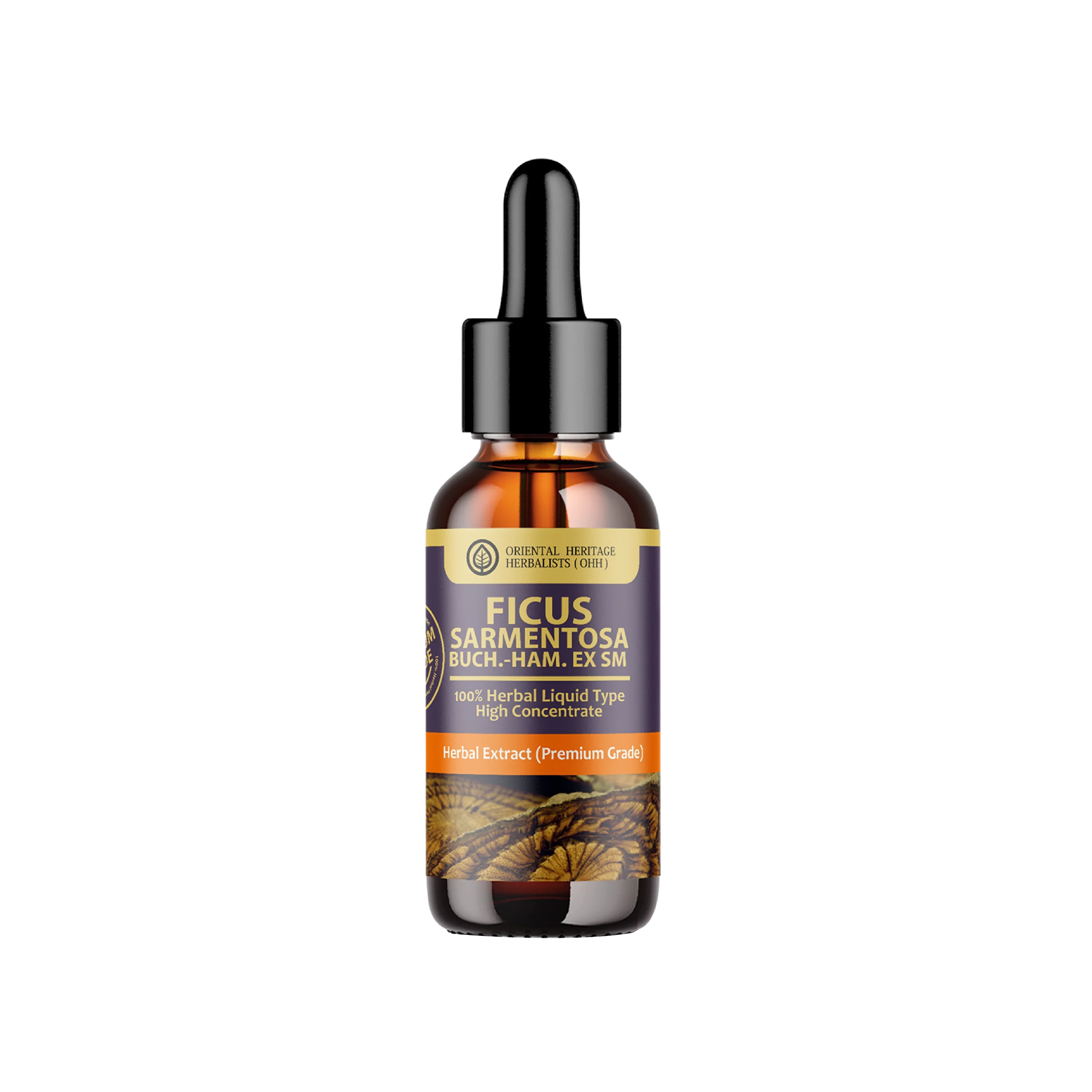 ficus foveolata wall liquid extract (high concentration) 25 ml ficus foveolata wall liquid extract (high concentration) 25 ml