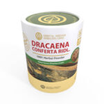 Dracaena Conferta Ridl. Herb Powder Extract 1KG. (Premium Grade)