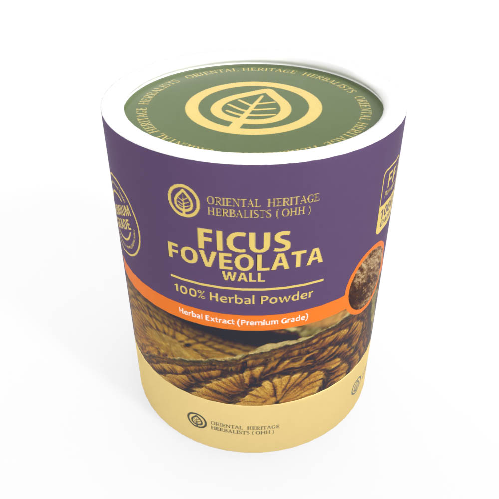 Gold 1 KG FICUS-View 1 Ficus Foveolata Wall Herbal Extract Powder 1 KG. (Premium Grade) TF