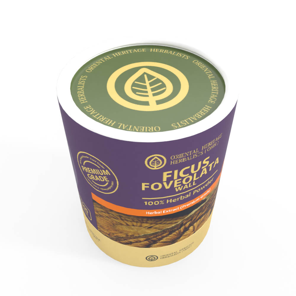 Gold 1 KG FICUS-View 3 Ficus Foveolata Wall Herbal Extract Powder 1 KG. (Premium Grade) TL