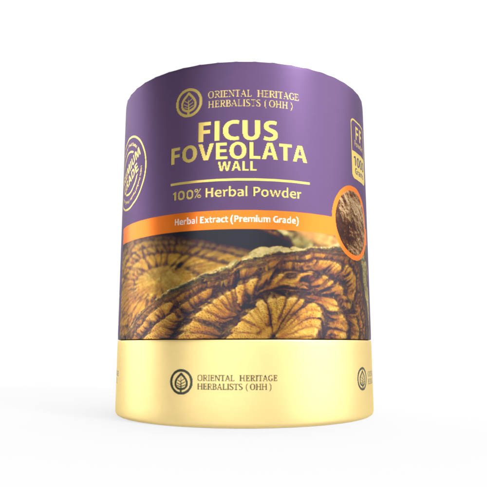 Gold 1 KG FICUS-View 5 Ficus Foveolata Wall Herbal Extract Powder 1 KG. (Premium Grade) F