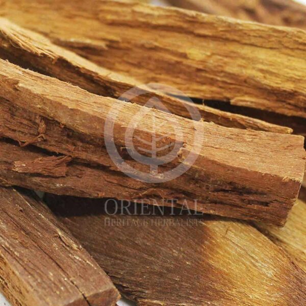 Cinnamomum bejolghota Powder Extract