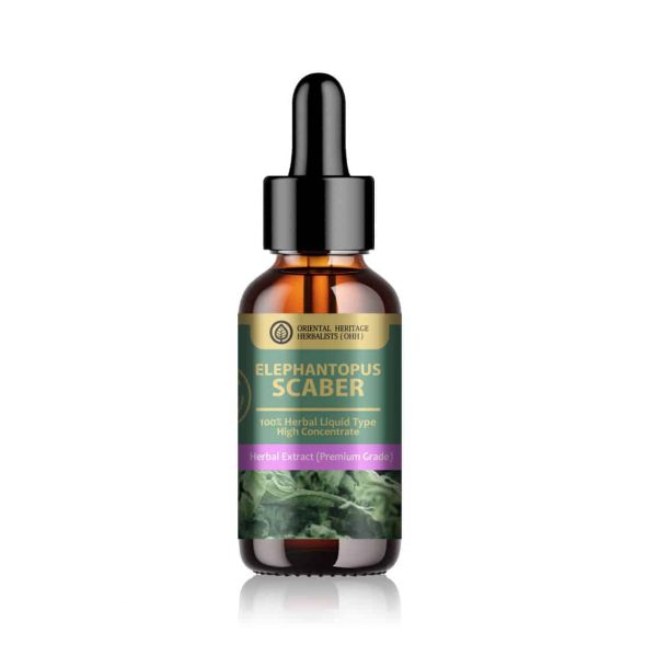 Elephantopus Scaber Herbal Extract in Liquid Type 25 ml.