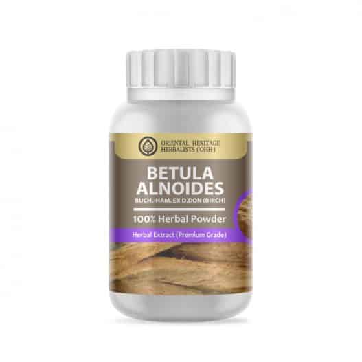 Betula Alnoides Buch.-Ham. ex D.Don. Herbal Powder Extract 50 G.