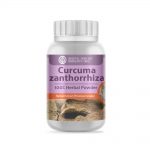 Curcuma Zanthorrhiza Powder Extract 50g.