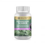 Elephantopus Scaber Herbal Powder Extract 50 G.