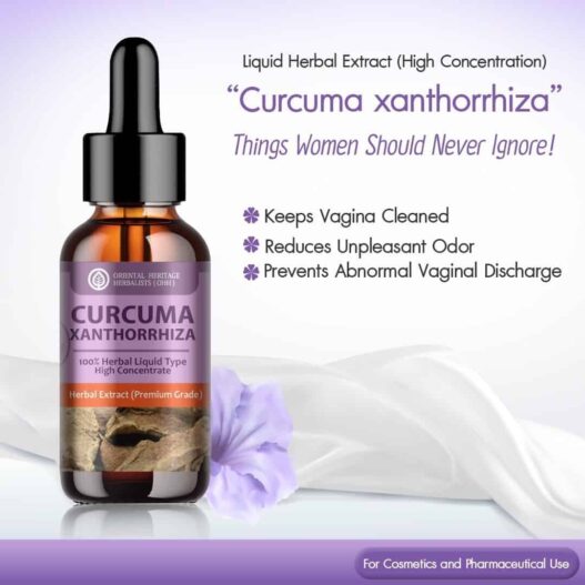Curcuma zanthorrhiza Liquid ad 4