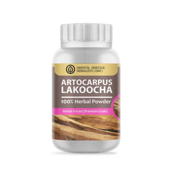 Artocarpus lakoocha Herb Powder Extract 50 G. (Premium Grade)