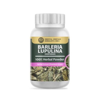 Barleria lupulina (Hophead) Herb Powder Extract 50 G. (Premium Grade)