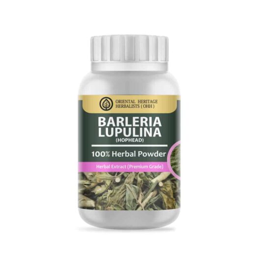 Barleria lupulina (Hophead) Herb Powder Extract 50 G. (Premium Grade)