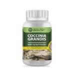 Coccinia grandis (L.) Voigt (Ivy Gourd) Herbal Powder Extract 50 G. (Premium Grade)