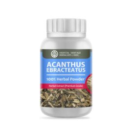 acanthus ebracteatus powder