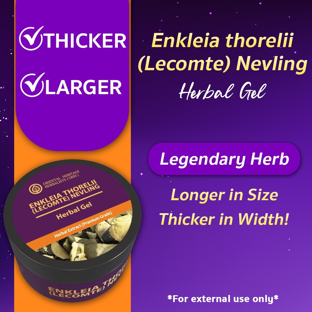 เจลดู่ทุ่ง (Enkleia thorelii (Lecomte) Nervling Herbal Gel) v.2 เจลดู่ทุ่ง-Enkleia-thorelii-Lecomte