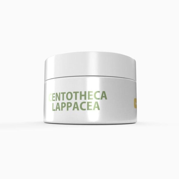 Centotheca lappacea Herbal Gel 4