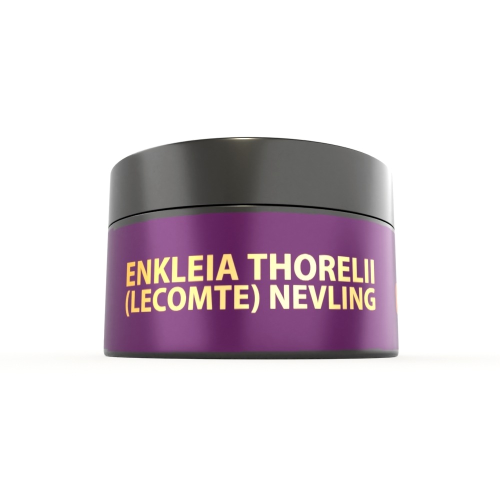 Enkleia thorelii (Lecomte) Nervling Herbal Gel Enkleia thorelii (Lecomte) Nervling Herbal Gel