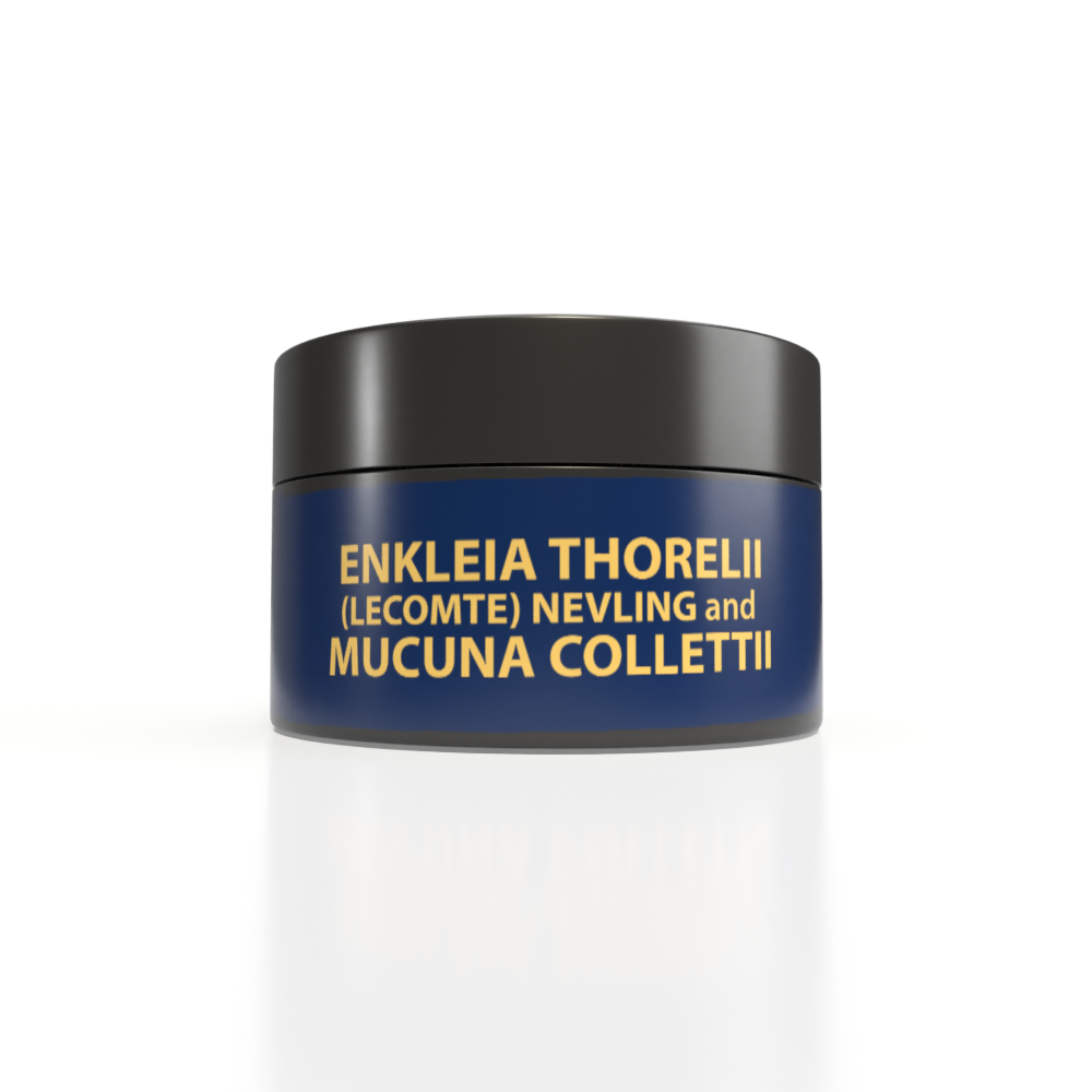 MUCUNA + Enklia 2+1-View front (2in1) Enkleia thorelii (Lecomte) Nervling, Mucuna Collettii Herbal Gel -Front