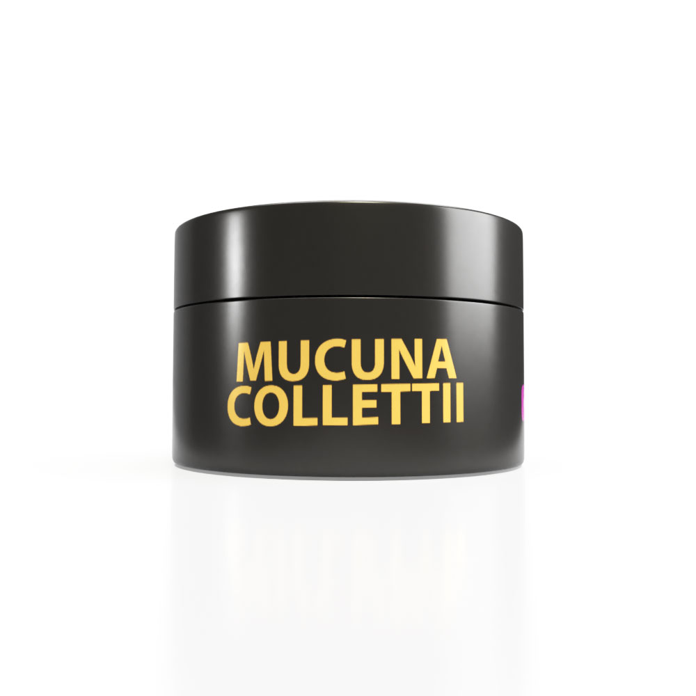 MUCUNA-View-front Mucuna Collettii Herbal Gel -F