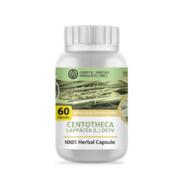 Centotheca Lappacea Herb 60 Capsules. (Premium Grade)