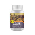 Ficus Foveolata Wall Herb 60 Capsules (Premium Grade)