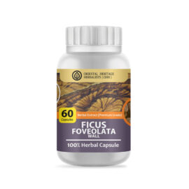 Ficus Foveolata Wall Herb 60 Capsules (Premium Grade)