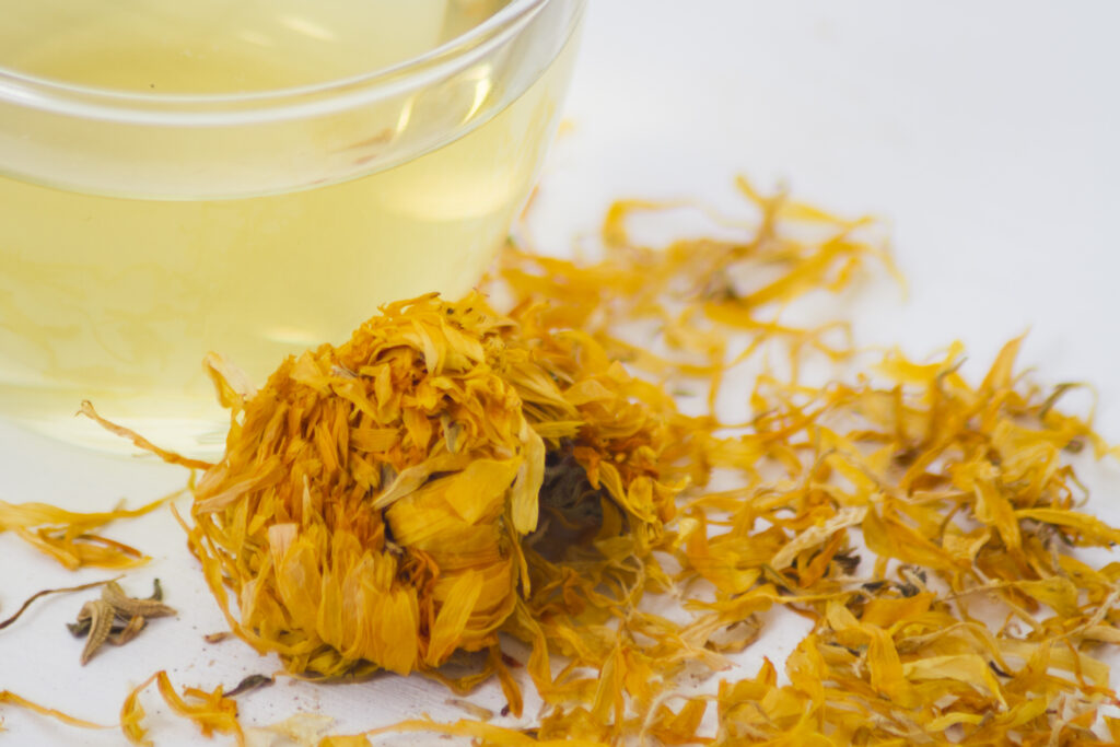 Cup Tea With Leaves 1024x683