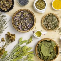 Cleome viscosa cosmetics supplements