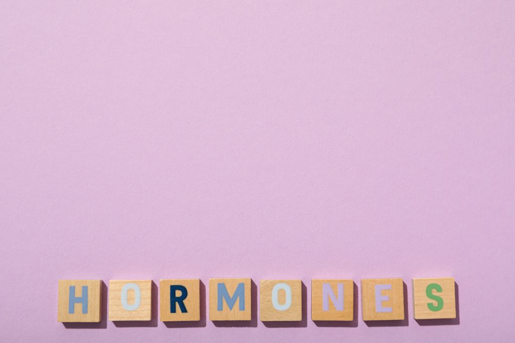 Word Hormones Light Background 1024x683