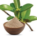 100% Cryptolepis Buchanani Powder Extract