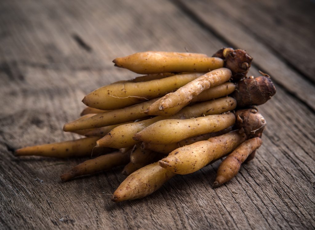 Boesenbergia Rotunda (Fingerroot): Potent Herbal Extract for Health, Immunity, and Skin Fingerroot Herb On Wood Background 2024 10 31 21 25 05 Utc 1 1024x749