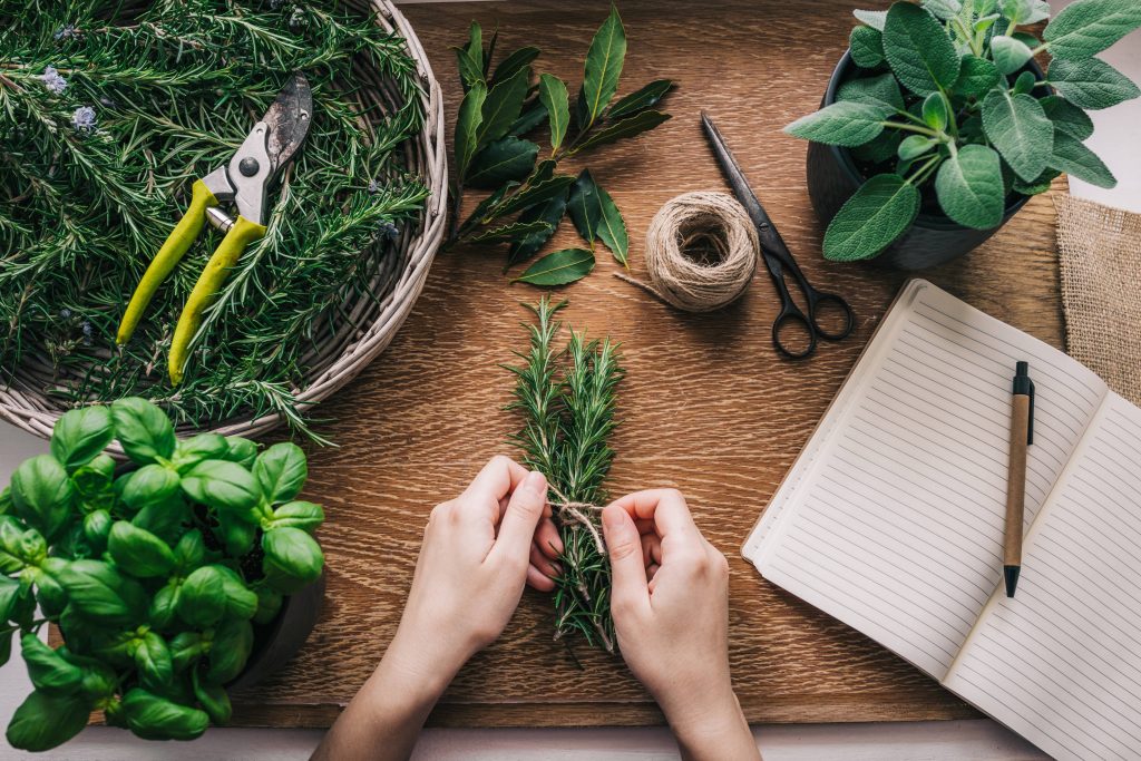 Fresh Herbs 2025 01 09 12 37 16 Utc 1 1024x683