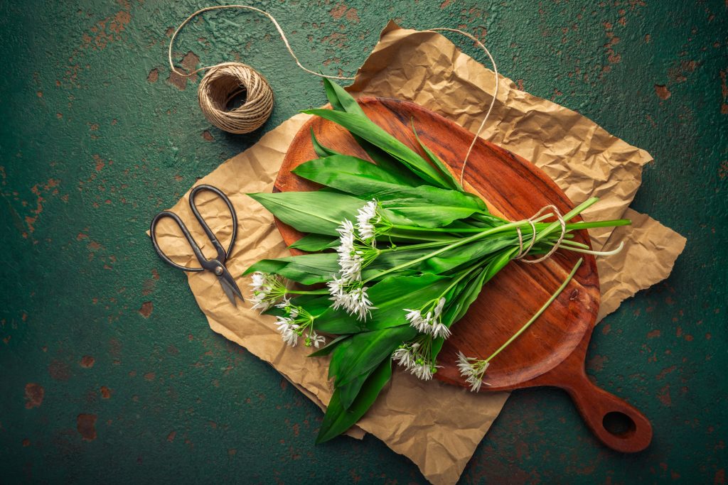 Freshly Picked Wild Garlic Bear Leek Ramson All 2025 06 06 00 25 40 Utc 1 1024x683
