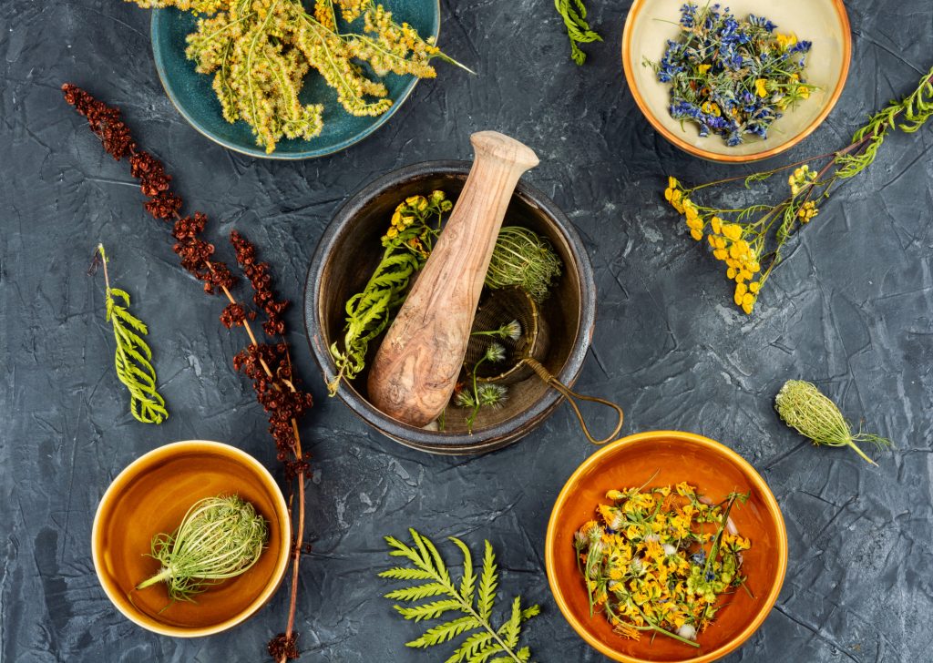 Medicinal Herbs Alternative Medicine 2024 12 13 14 23 56 Utc 2 1024x728