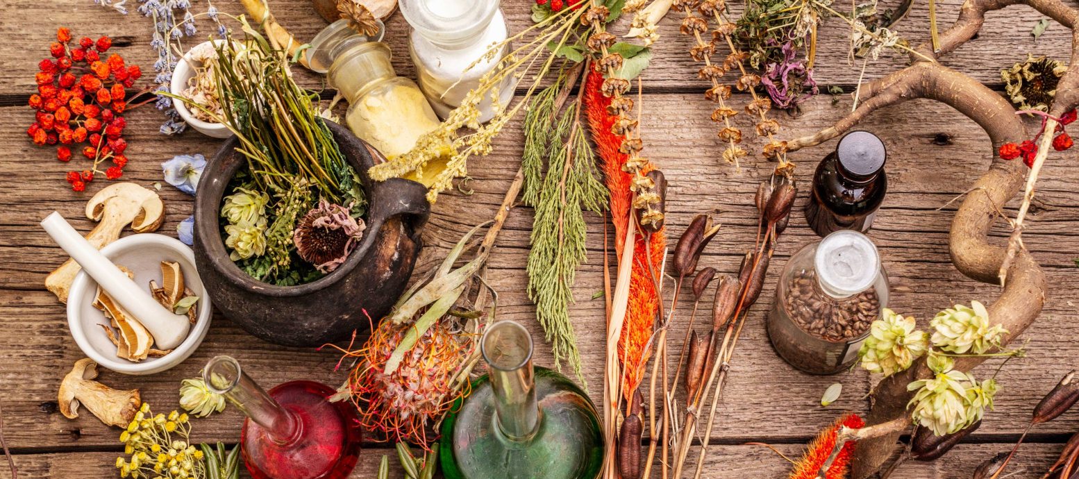 Hypoxis aurea Lour. Benefits