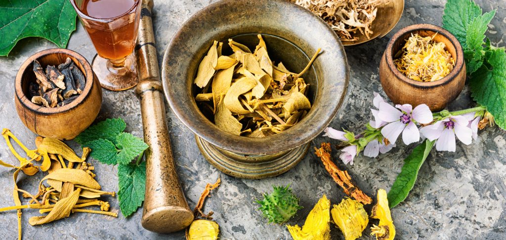 Mortar And Bowl Of Raw And Dried Healing Herbs Alt 2025 10 14 18 37 28 Utc 1 1024x486